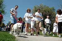 NAMIWalk07 (235) 